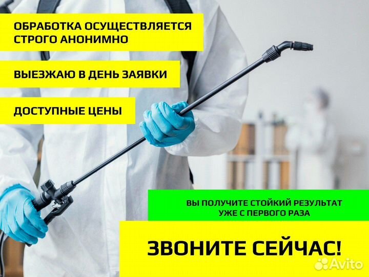 Уничтожение клопов тараканов плесени. Дезинфекция