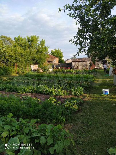 Дом 35 м² на участке 25 сот.