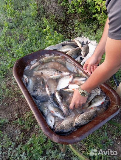 Рыбалка и отдых