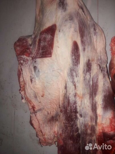 Мясо домашнее, говядина