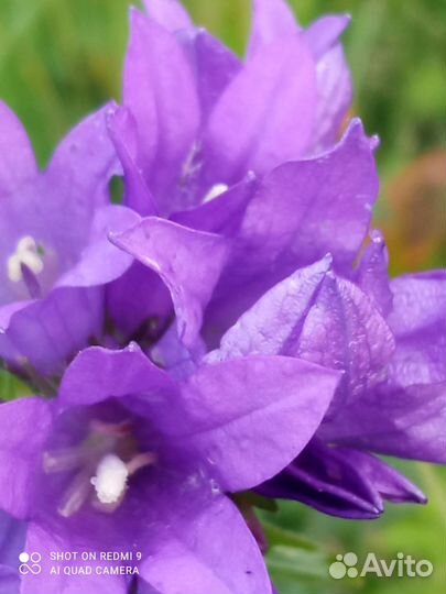 Красота и здоровье