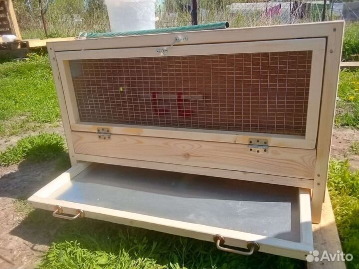 Брудер для цыплят