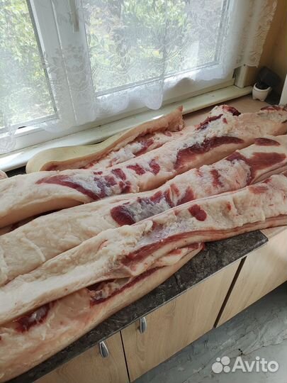 Сало свиное свежее