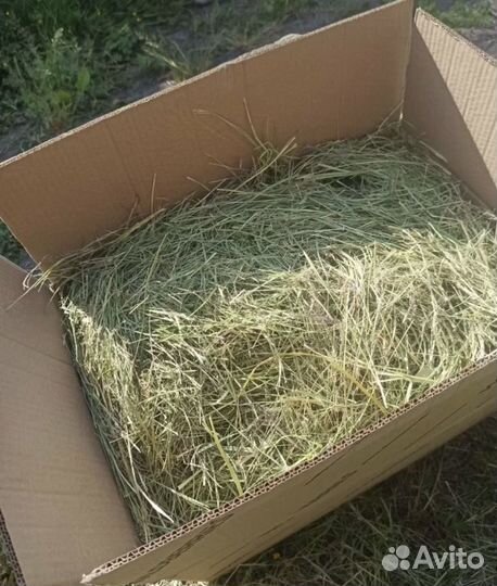 Сено луговое