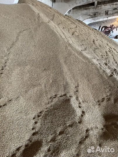 Зерно пшеница ячмень