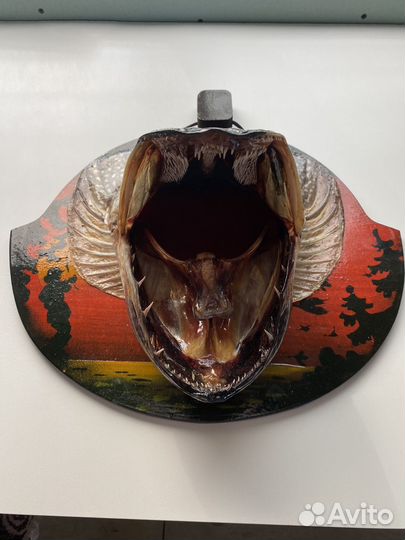 Рыболовный сувенир