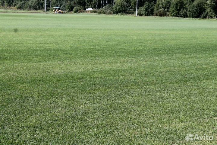 Рулонный газон напрямую от производителя