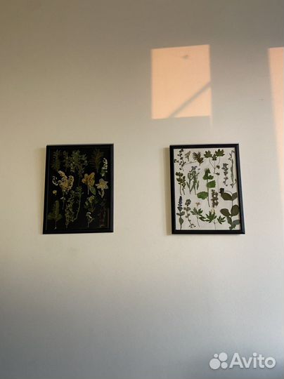 Панно из сухоцветов