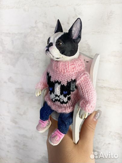 Бостон-терьер Молли