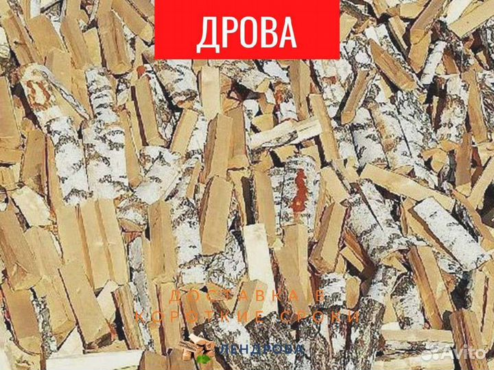Дрова березовые