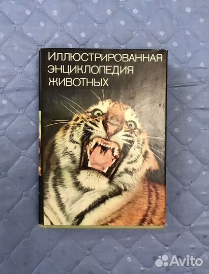 Энциклопедия В Станек