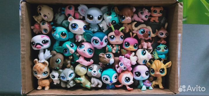 Littlest Pet Shop