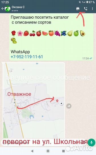 Роза Mata Hari чайногибридная саженцы