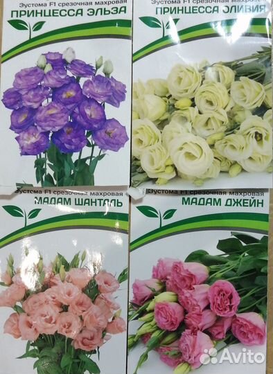 Эустома рассада