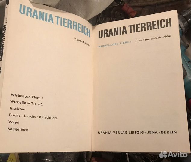 Беспозвоночные животные на немецком 1967 год