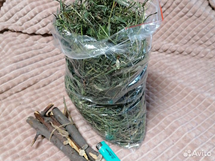 Сено разнотравье для грызунов