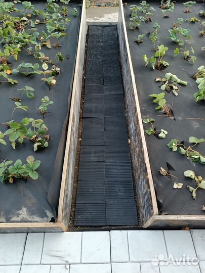 Садовые дорожки