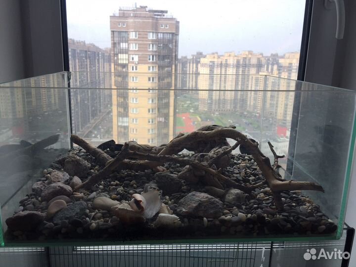 Террариумы