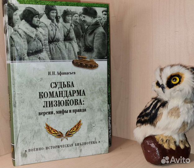 Афанасьев И. Н. Судьба командарма Лизюкова. Верси