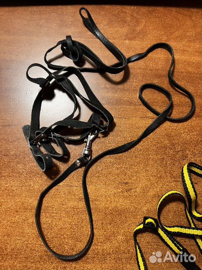 Шлейка для кошки