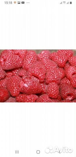 Малина Карамелька