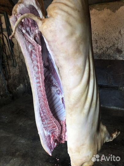 Мясо Свинина Говядина