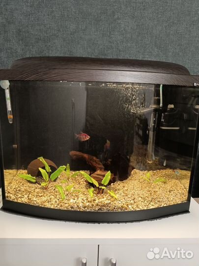 Аквариум с тумбой