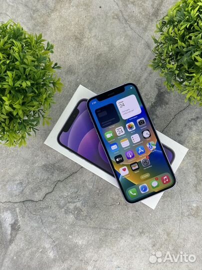 iPhone 12 mini, 256 ГБ