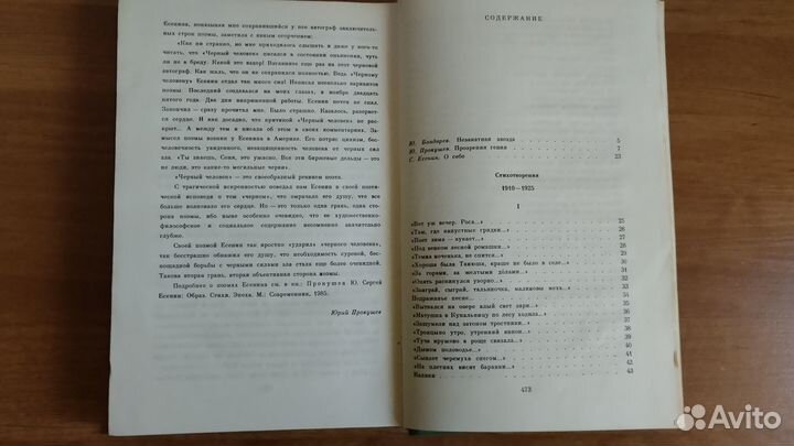 Сергей Есенин собрание сочинений в двух томах