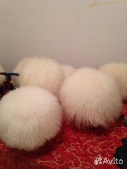 Кавказские папахи