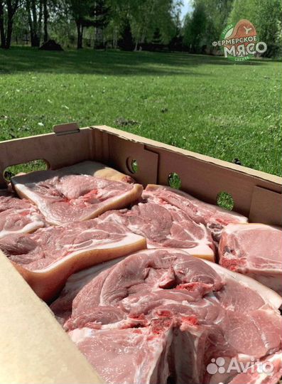 Мясо свинина