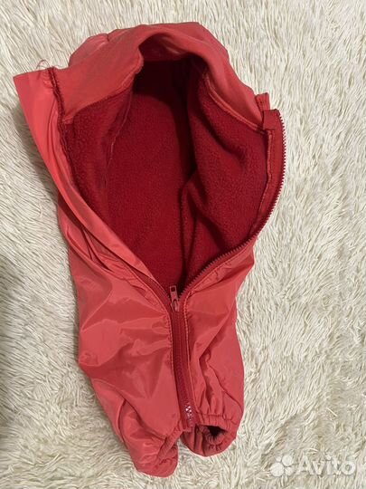 Комбинезон на флисе для таксы девочки