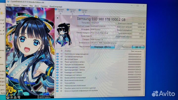 SSD M2 Nvme Samsung 980 1000GB