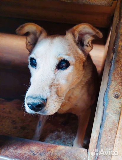Соль в самые добрые руки