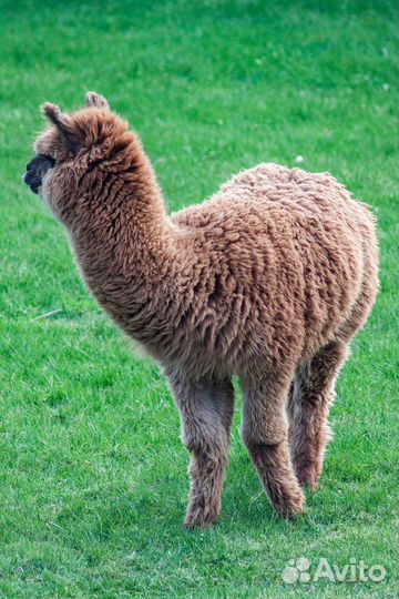 Обучение фотографии