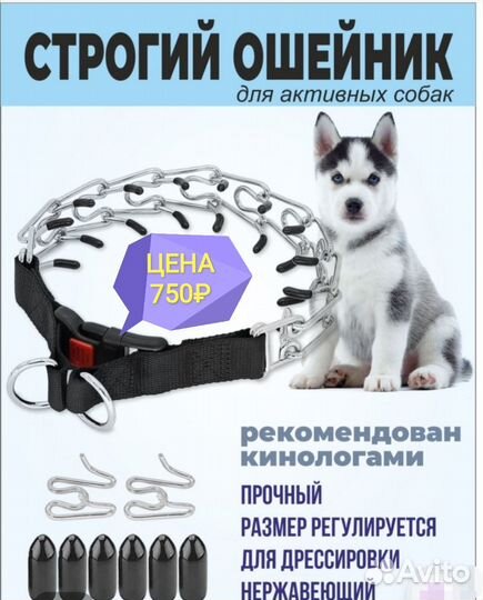 Тактический ошейник усиленный, строгий оше, шлейка