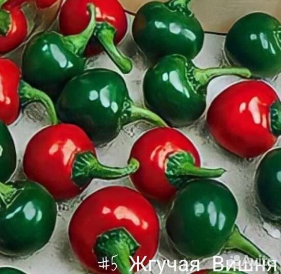 Перец Острый Кустарниковый Жгучая Вишня&Дракоша