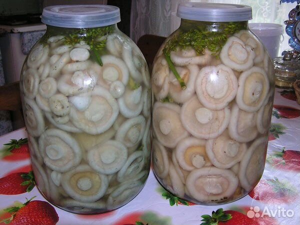 Соленые белые грузди