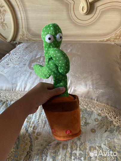 Танцующий кактус