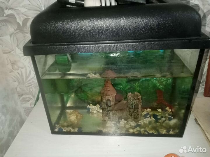 Аквариум