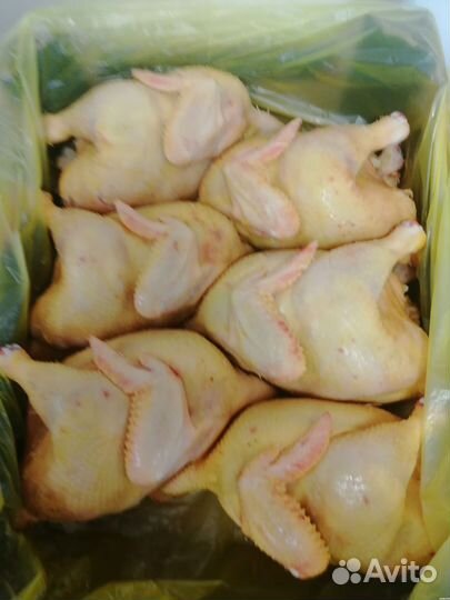 Мясо курица от производителя