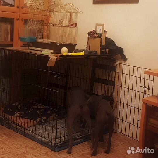 Клетка для собак