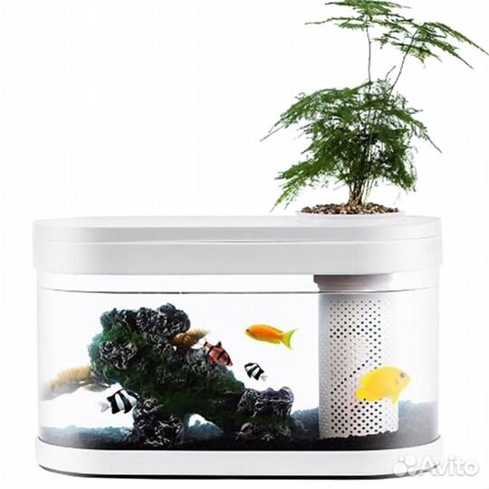 Аквариум Xiaomi