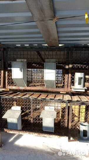 Клетки для кроликов, для птицы, вольеры