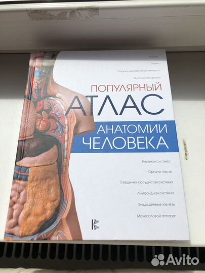Атлас анатомии человека палычева лазарев