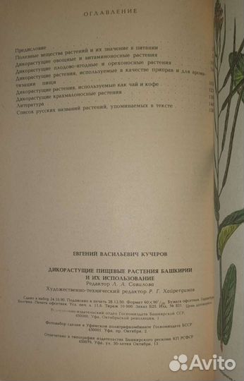Дикорастущие пищевые растения и их использование