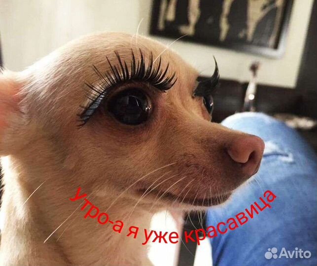 Наращивание ресничек/Тату