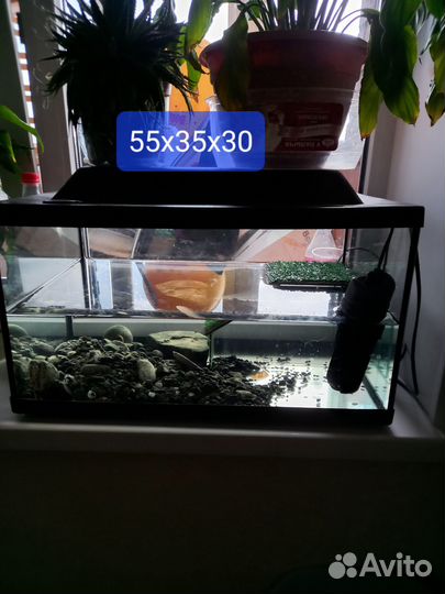 Аквариум-террариум