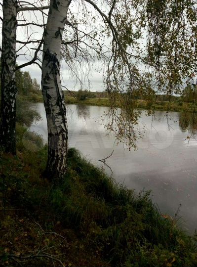 Участок 32 га (СНТ, ДНП)