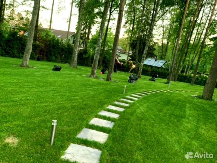 Рулонный газон